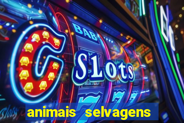 animais selvagens fotos e nomes